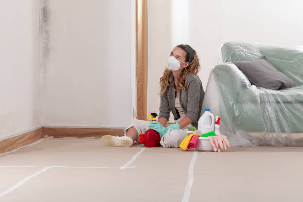 Reliable Crawl Space Mold Removal contractor in Tualatin, OR by WQB Mold Removal